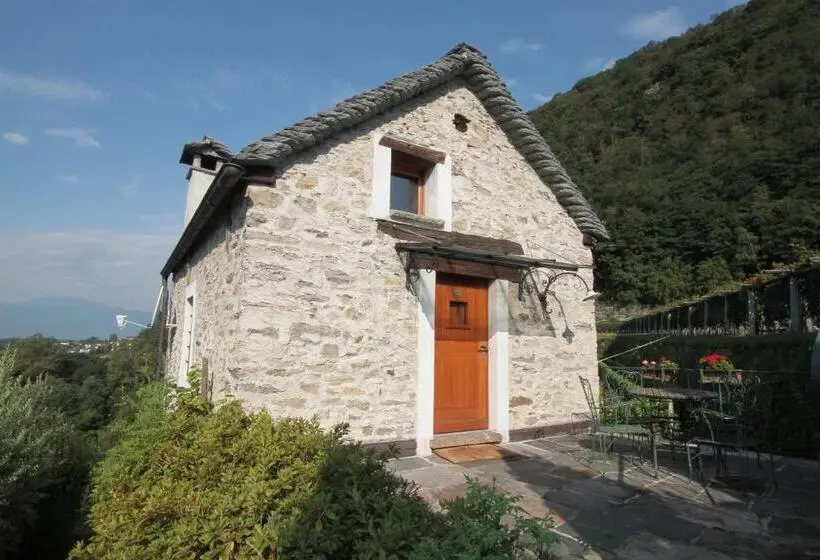スイート, Fattoria L'amorosa