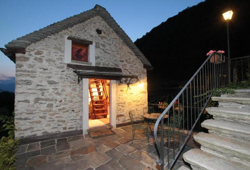 套房, Fattoria L'amorosa