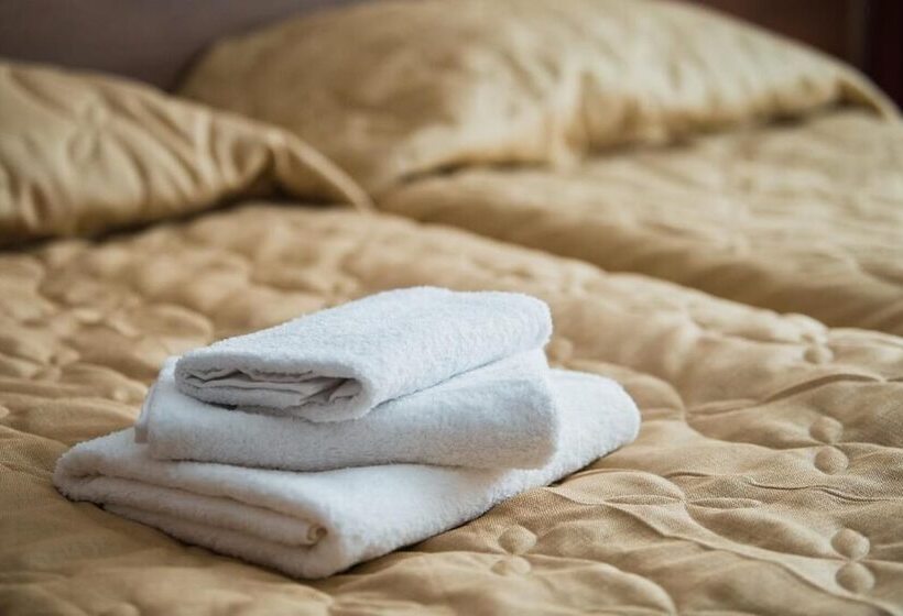 غرفة قياسية, Spa Hotel Michur Inn