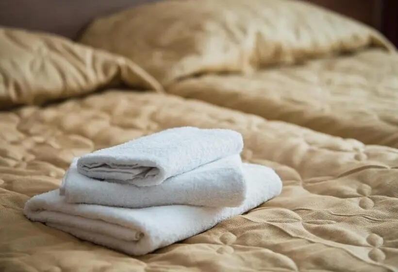 スタンダードルーム, Spa Hotel Michur Inn