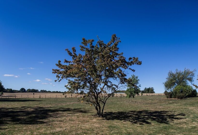 חדר סטנדרט, Logis Hostellerie D'aussois