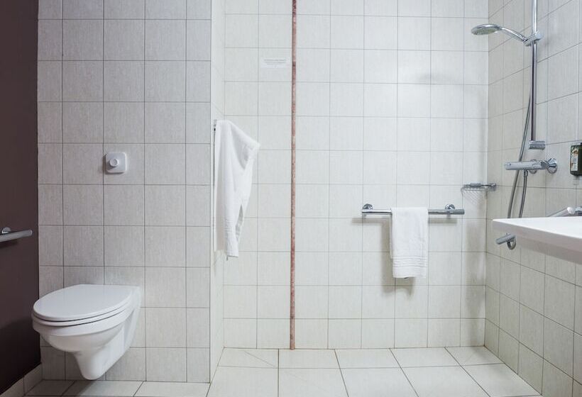 חדר סטנדרט מותאם לאדם עם מוגבלויות, Logis Hostellerie D'aussois