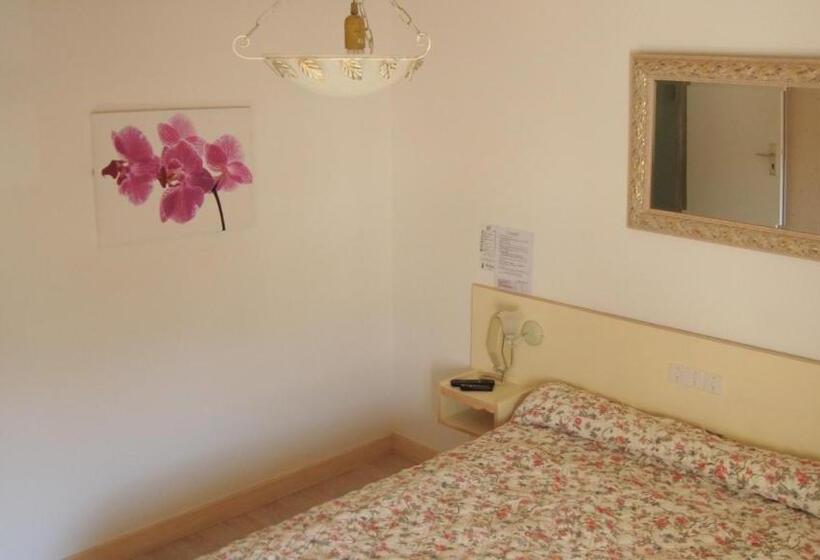 스탠다드 싱글 룸, Pikassaria