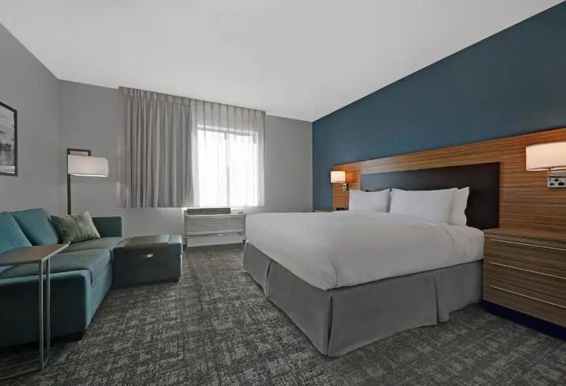 キングサイドベッドのスタンダードワンルーム, Towneplace Suites Sacramento Airport Natomas