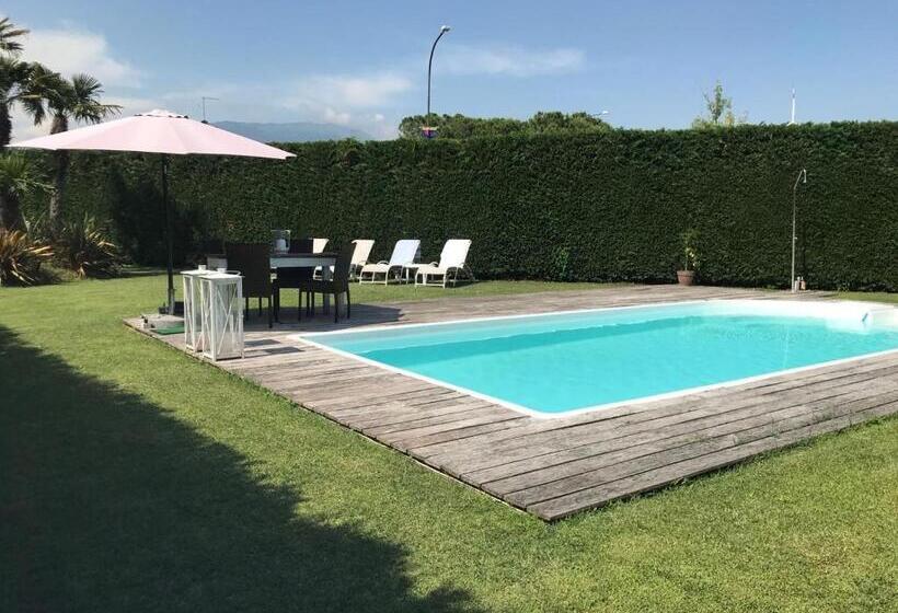 Семейный Номер, B&b Da Patty