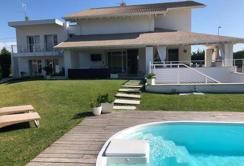 スタンダードルーム, B&b Da Patty