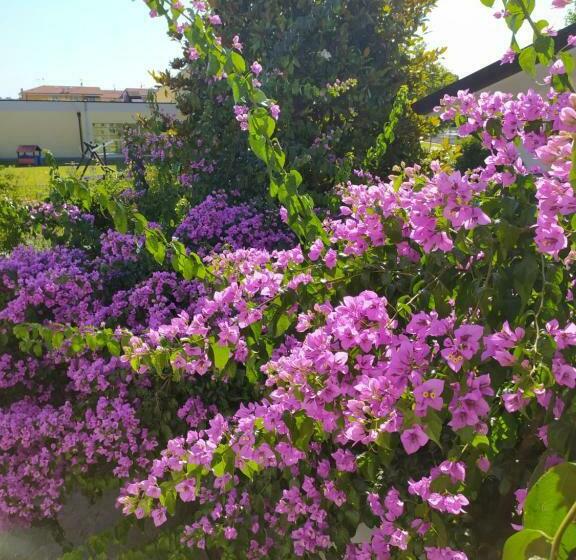 اتاق لوکس با چشم‌انداز باغ, La Bouganville B&b