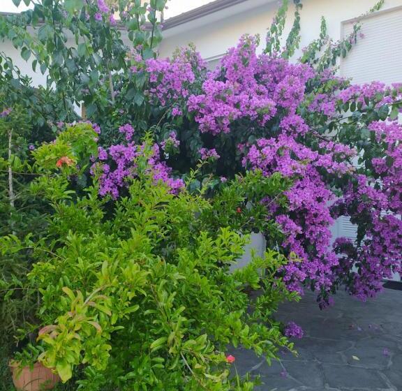 اتاق استاندارد با تخت بزرگ, La Bouganville B&b