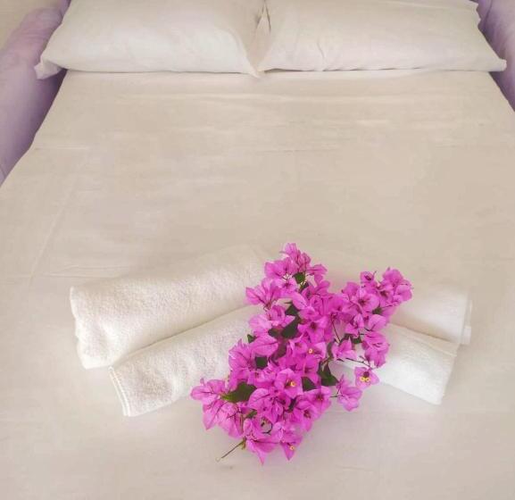 اتاق استاندارد با تخت بزرگ, La Bouganville B&b