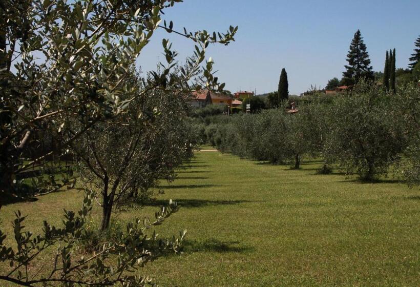1 Bedroom Apartment Lake View, Agriturismo Nonna Bettina
