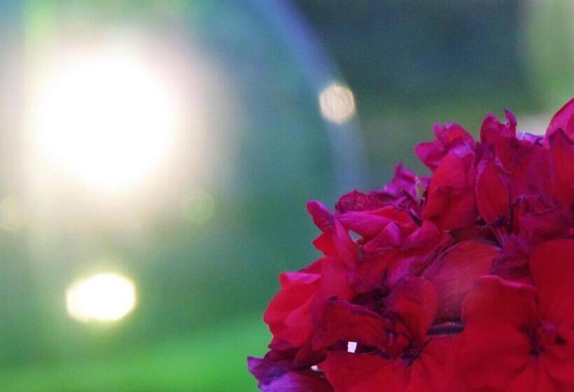 Basic Oda, Li Perrini Boutique B&b