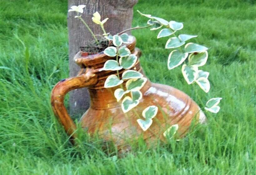 Basic Oda, Li Perrini Boutique B&b