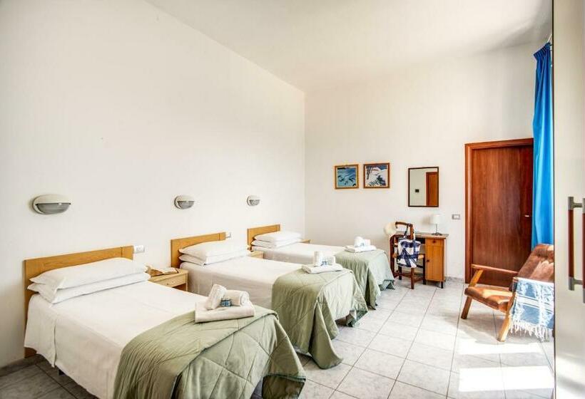 标准三人间, Villa Mg