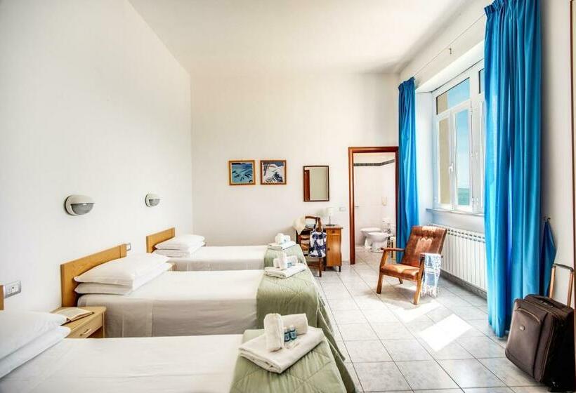 标准三人间, Villa Mg