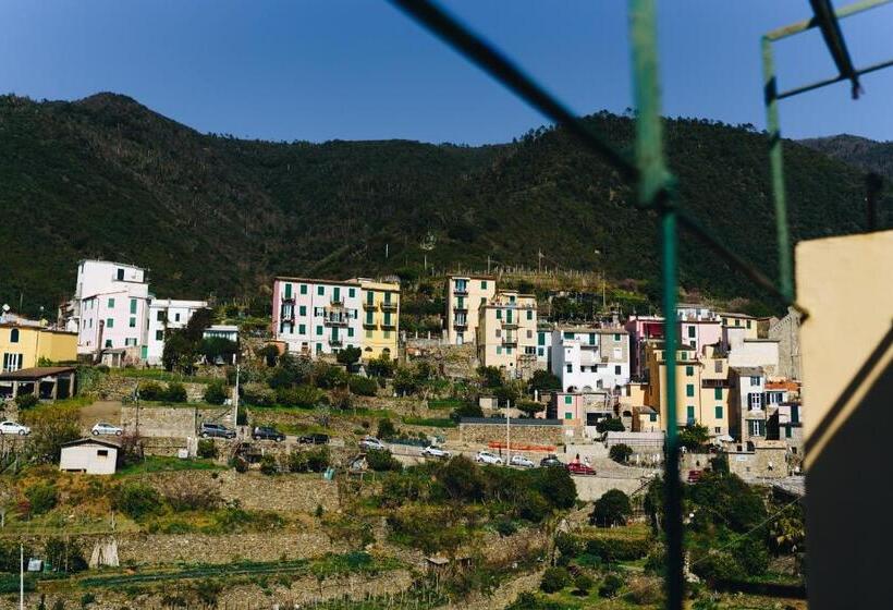 スタンダード４人部屋, Punto Zero