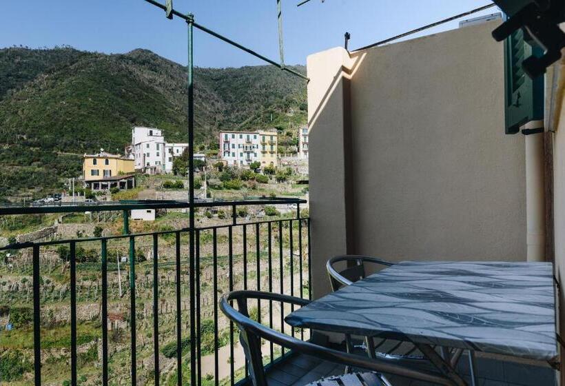 スタンダード４人部屋, Punto Zero