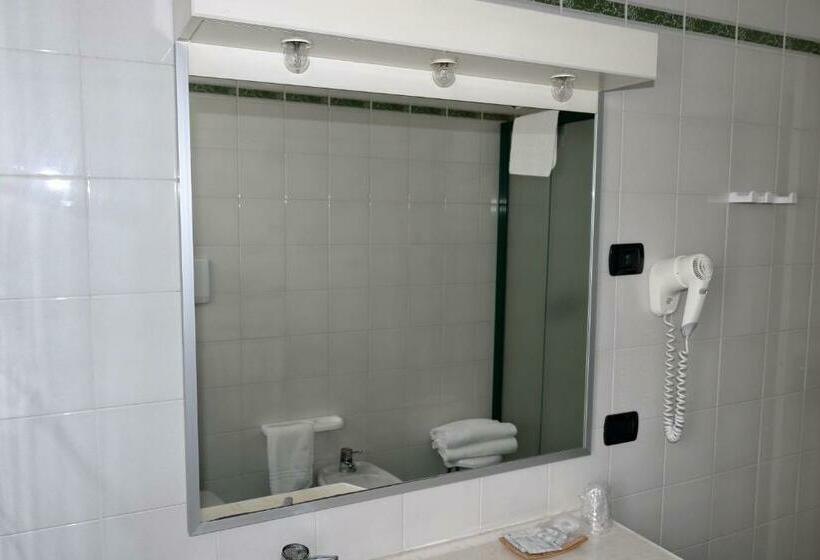 Номер Стандарт, Romanisio