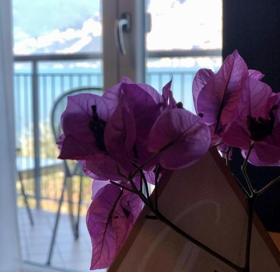 Comfort room with lake view, Garden