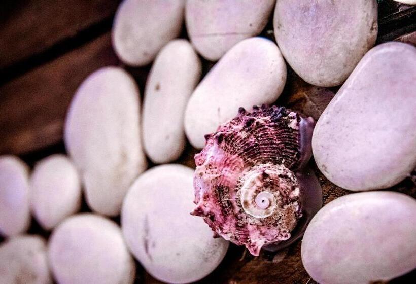 اتاق استاندارد, Dimora Le Grottaglie