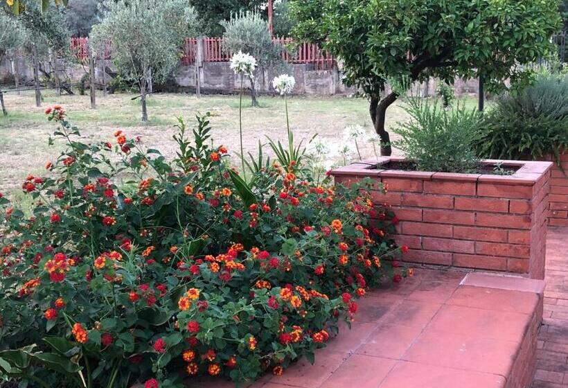 キングサイズベッドのスタンダードルーム, Villa Carolea