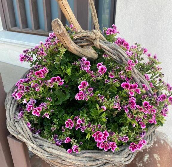 スタンダード4人部屋, Villa Carolea