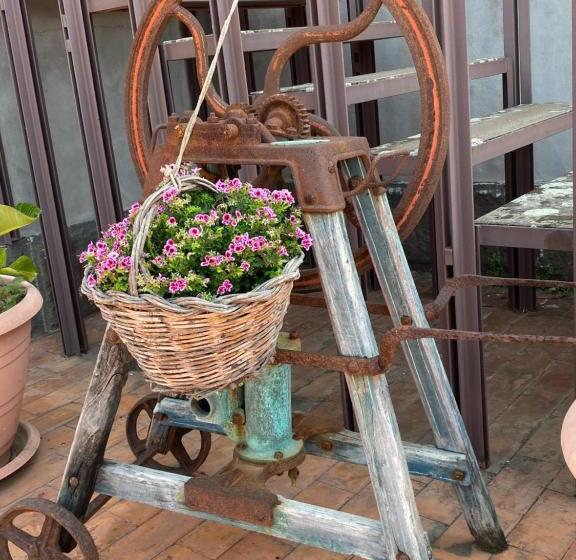 スタンダード4人部屋, Villa Carolea