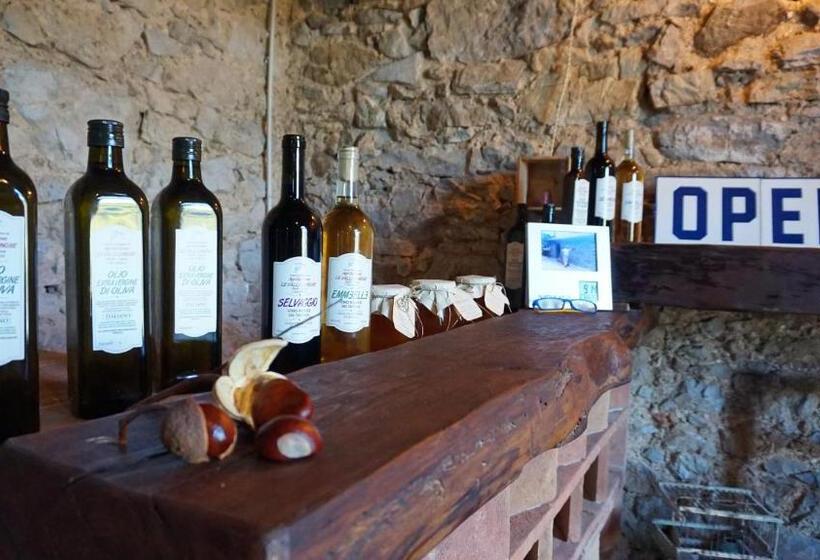 اتاق سوپریور, Agriturismo Le Vallilunghe