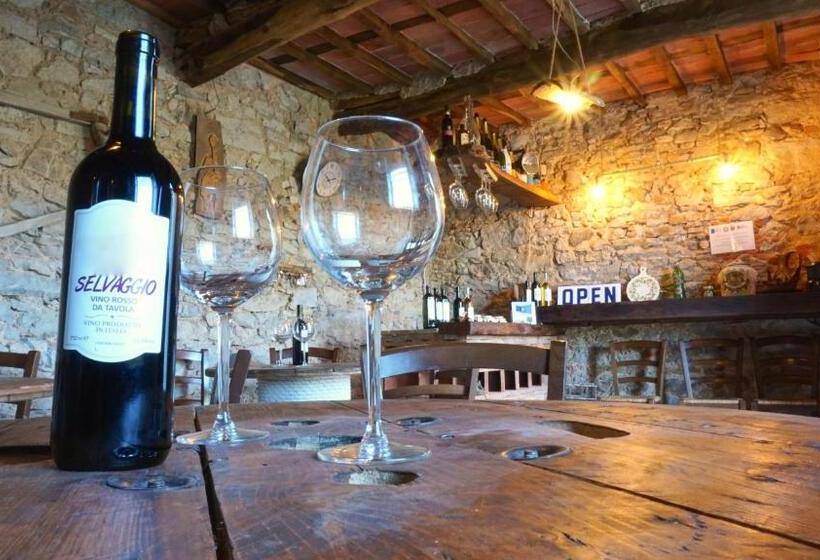 اتاق سوپریور, Agriturismo Le Vallilunghe