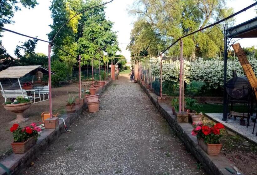 اتاق خانوادگی, Alle Vecchie Mura
