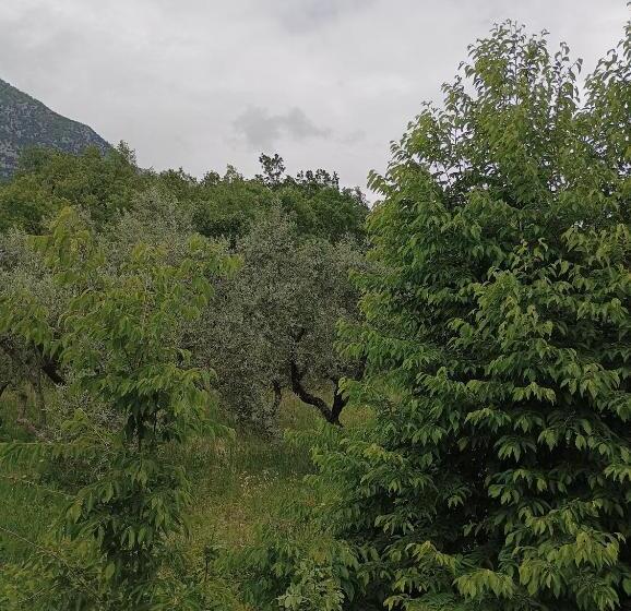غرفة قياسية, Fattoria La Tana Della Volpe