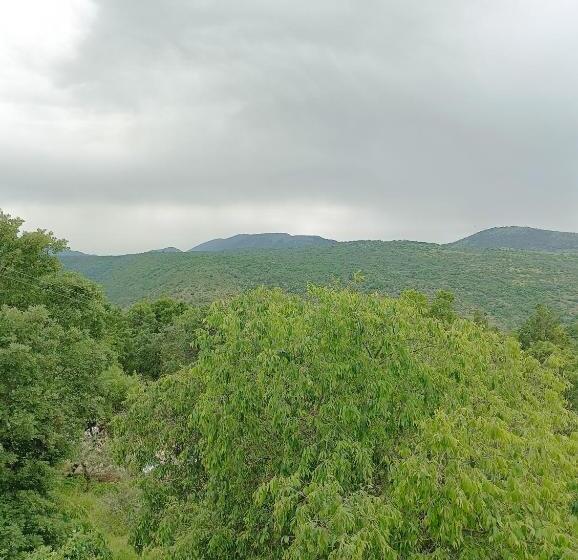 غرفة قياسية, Fattoria La Tana Della Volpe