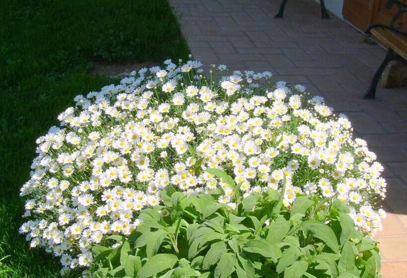 Апартаменты 1 Спальня, Agriturismo D  Epoca La Marianella