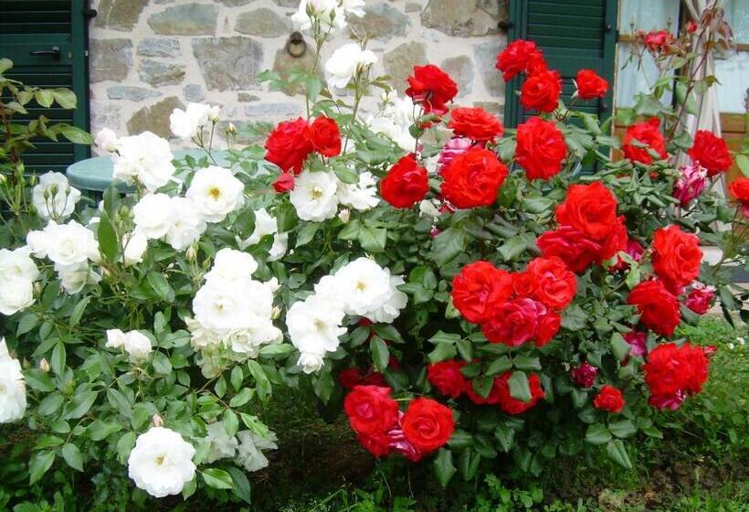 Номер Superior с Террасой, Agriturismo D  Epoca La Marianella