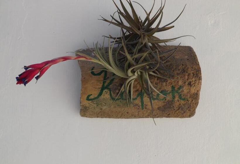 غرفة قياسية مزوَّدة بتراس, B&b Giardino Nascosto Taviano