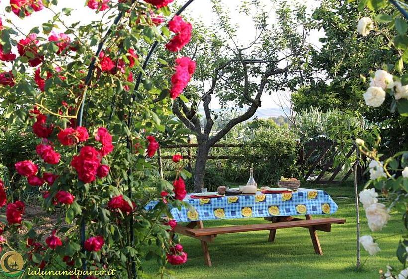 高级园景房, La Luna Nel Parco