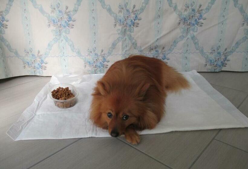 غرفة قياسية مطلّة علي الحديقة, Dimora E Arte   B&b