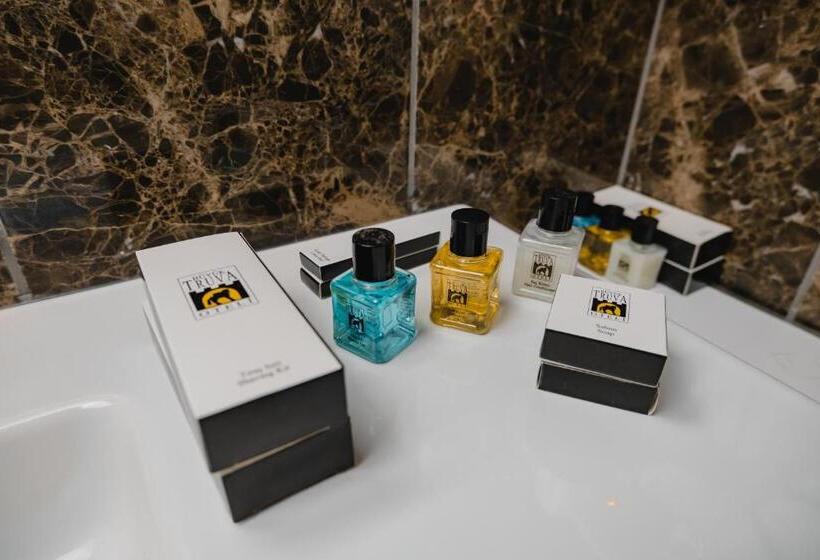 スタンダードシングルルーム, Buyuk Truva