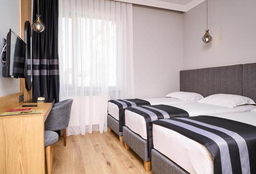 スタンダードトリプルルーム, Buyuk Truva