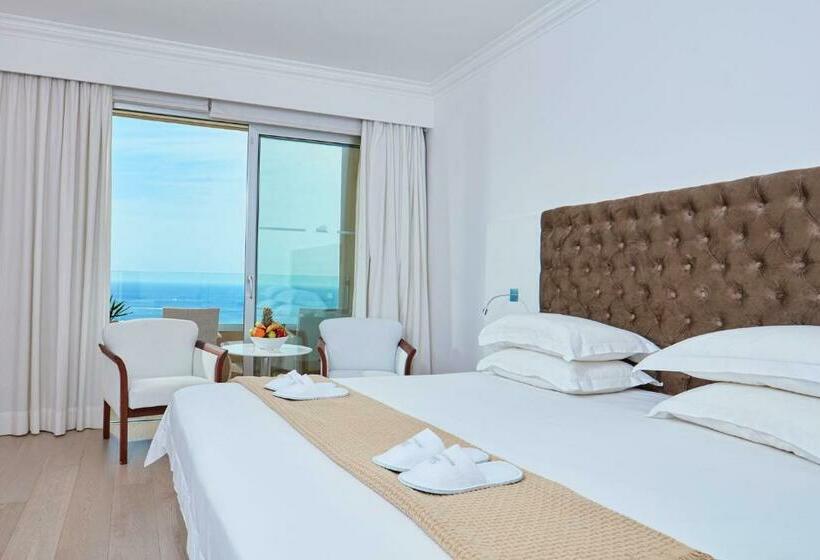 스탠다드 룸 바다 전망, Grecian Park