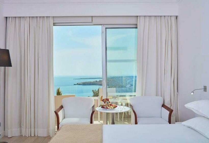 스탠다드 룸 바다 전망, Grecian Park