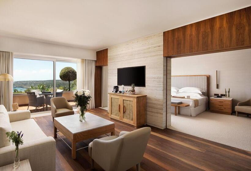 스위트 킹사이즈 침대, Grecian Park