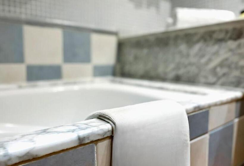 غرفة قياسية لذوى الاحتياجات الخاصة, Ho Ciudad De Jaen