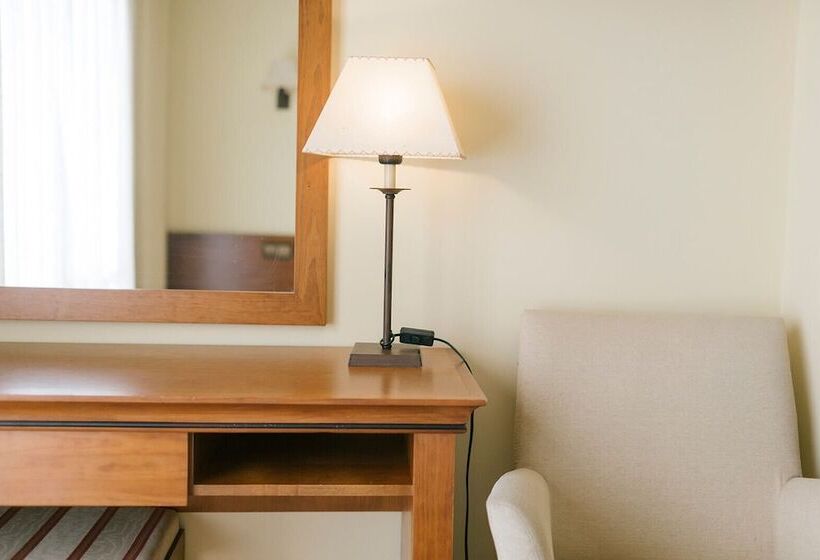 带海景的标准房, O Castro