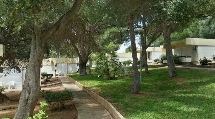 اتاق استاندارد, Sun Club El Dorado - All Inclusive