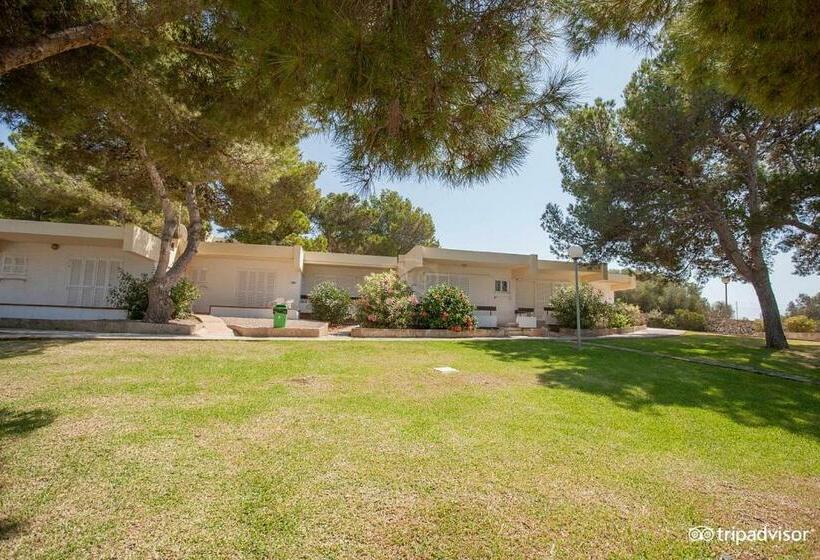 标准间, Sun Club El Dorado - All Inclusive