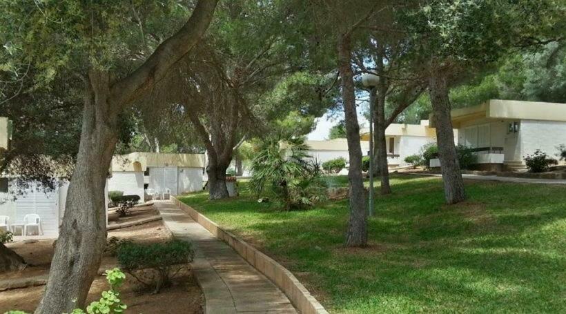 标准平房, Sun Club El Dorado - All Inclusive