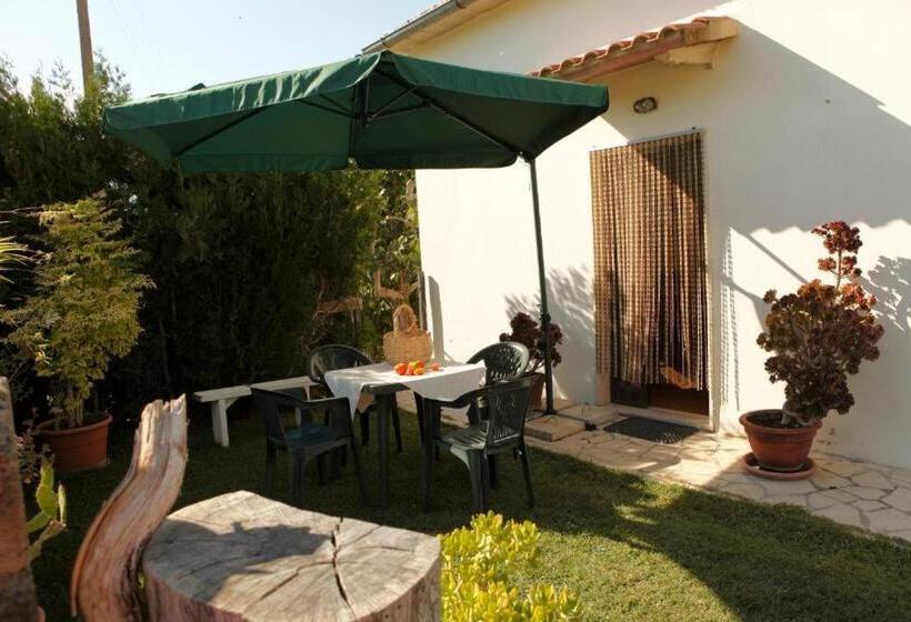 آپارتمان 1 خوابه, Poggio Baroni Agriturismo