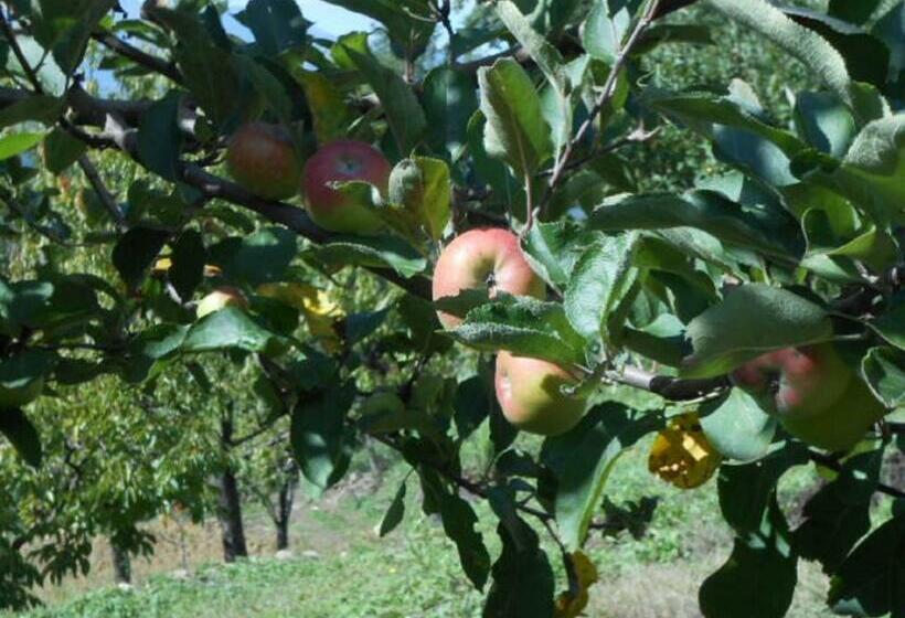 غرفة كومفورت ثلاثية, Agriturismo Amargi