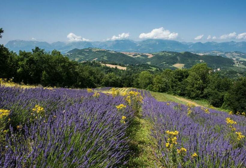 غرفة كومفورت ثلاثية, Agriturismo Amargi