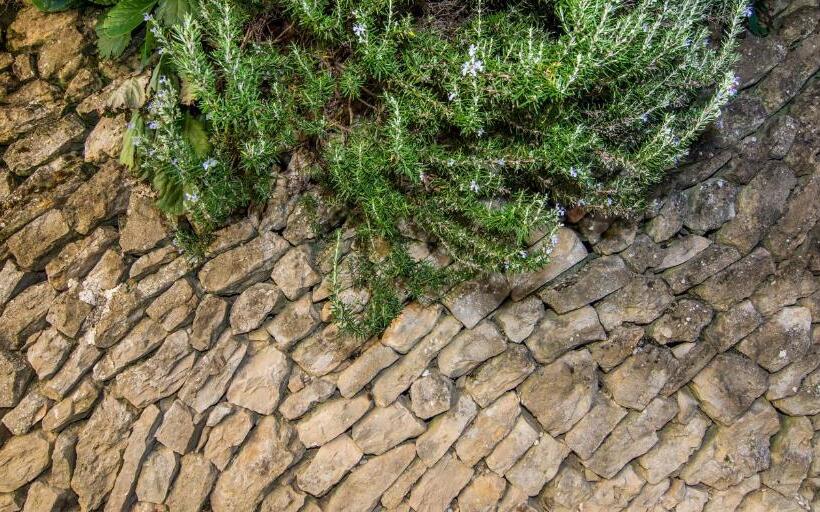 غرفة قياسية لذوى الاحتياجات الخاصة, Agriturismo Amargi